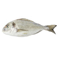 Fresh sea bream royal size 400-600 g