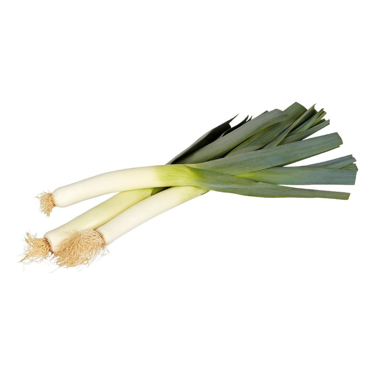 Leek 1 kg