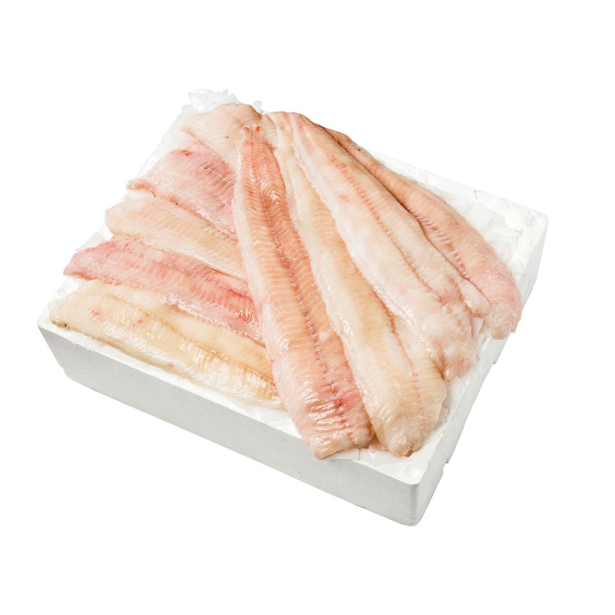 Wolffish fillet 0.4-1 kg W