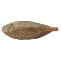 Fresh sole grading 100-200 g