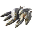 Sardines small