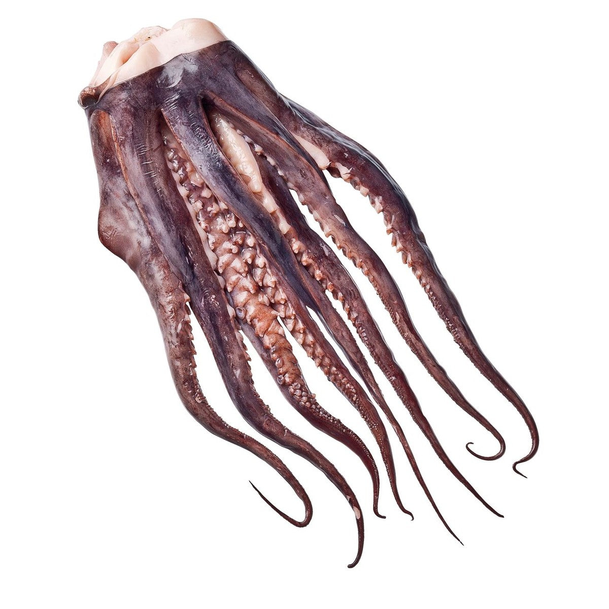 Heijer Pulpo tentacles 1 kg