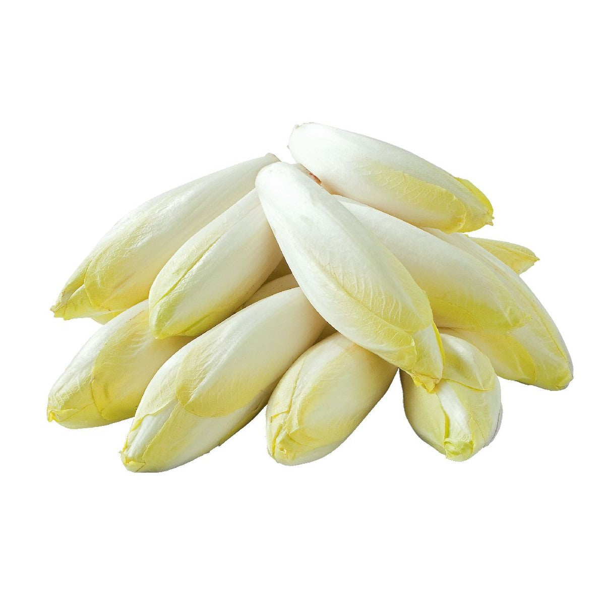 Chicory 500 g *