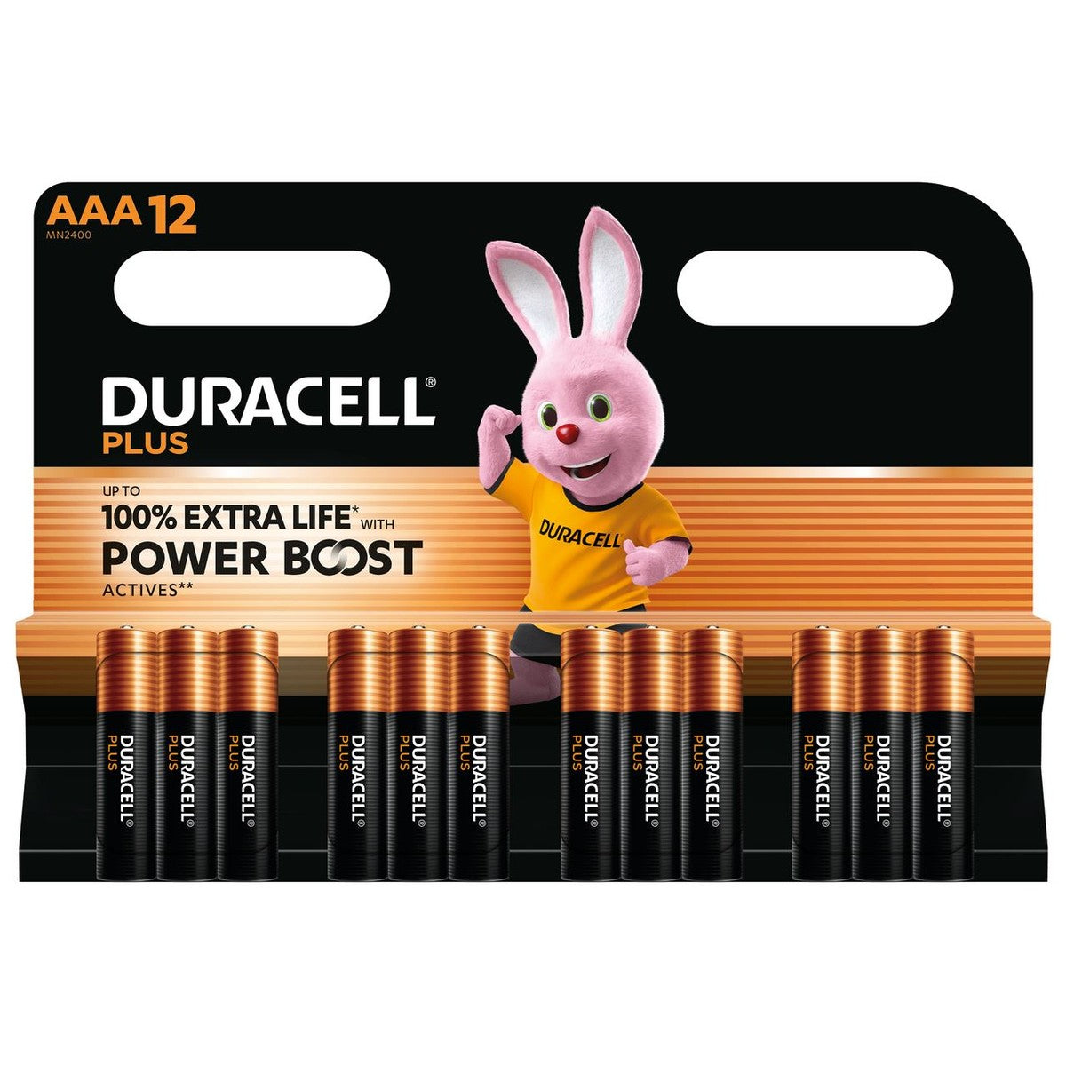 DURACELL Alkaline Plus AAA 12 pieces