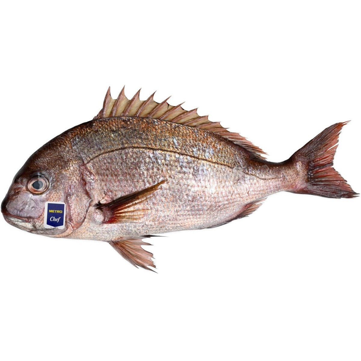 Dorade Pink 600-800 g