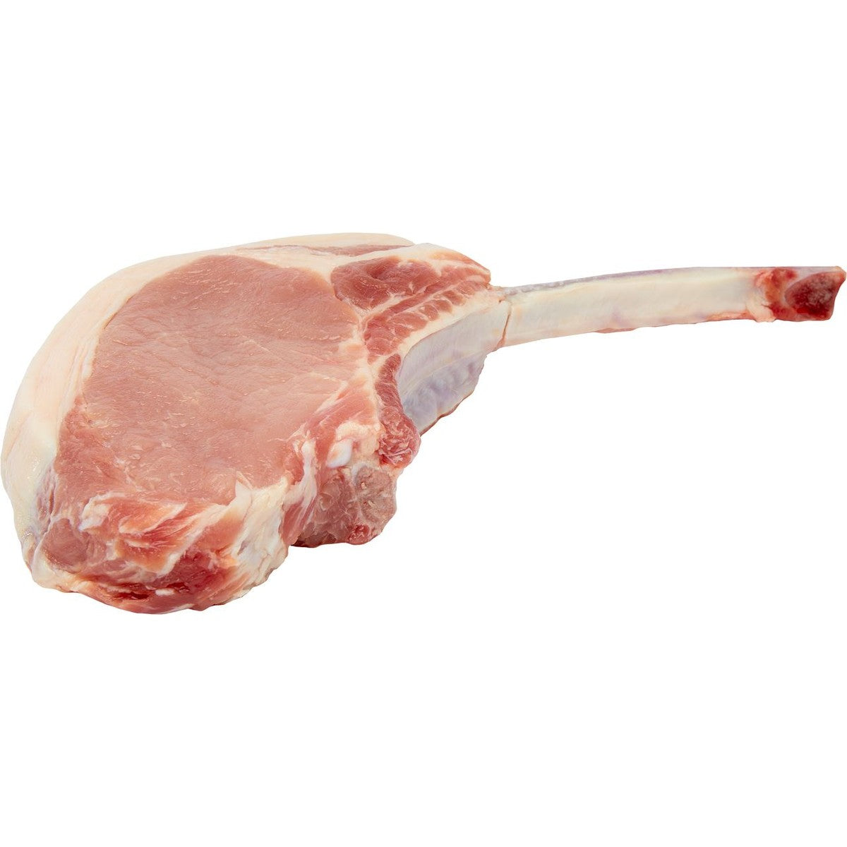 Heyde Hoeve Duroc Pigs Tomahawk m/f m/zw