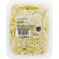 Radish sprouts 100 g