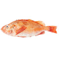 Redfish weight