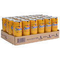 Chocomel Full Can 24 x 25 cl