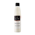 Apollo Mayonnaise lime-coriander 250 ml