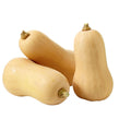 Butternut squash 1 piece