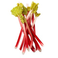 Rhubarb 750 g