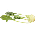 Kohlrabi 1 piece