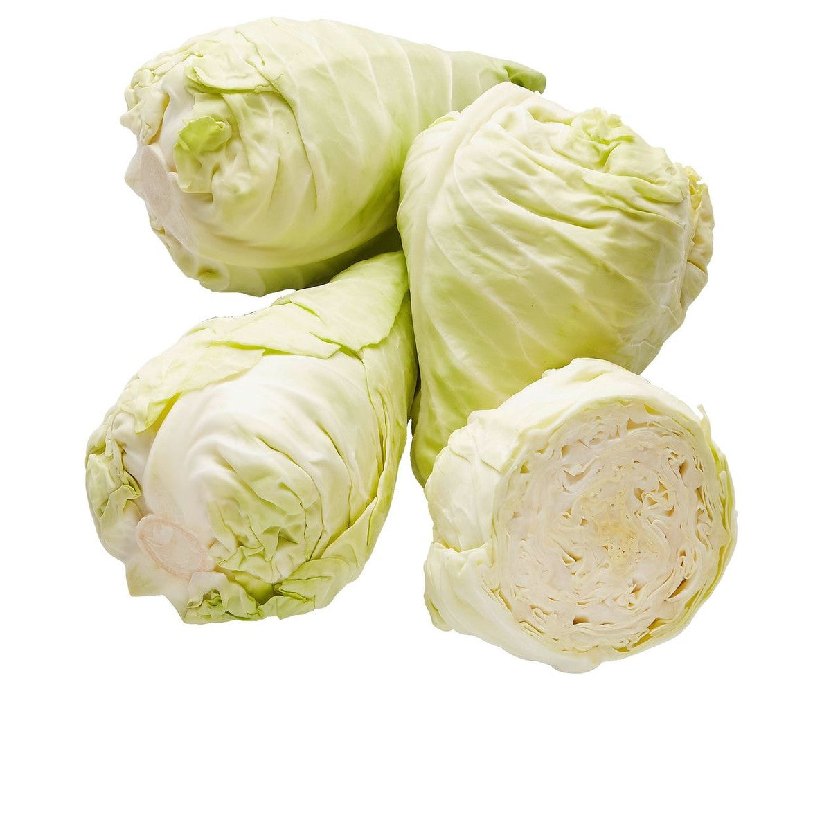 Pointed cabbage 1 piece *