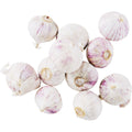 Solo Garlic 250 g