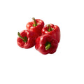 Pepper Red Unsorted 1kg