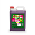 RAAK Fruit Syrup Raspberry 5 l