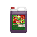 RAAK Fruit Syrup Strawberry 5 l