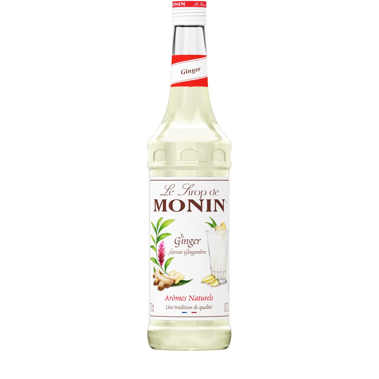 Monin Syrup Ginger 70 cl