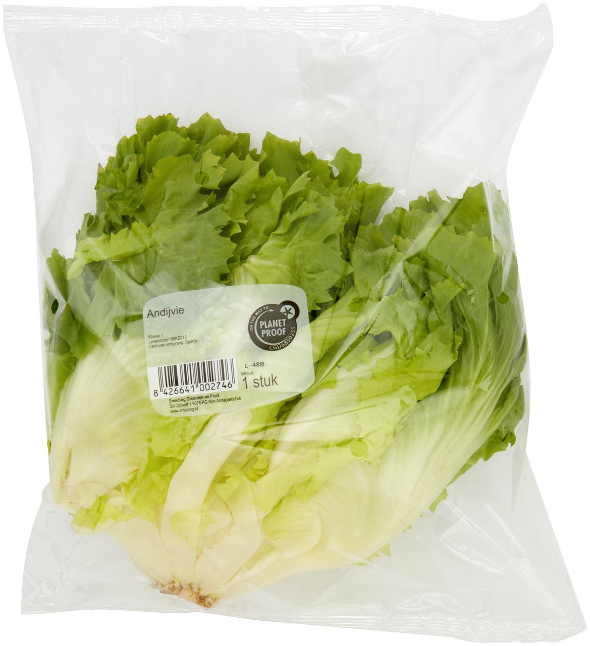 Endive 500 g