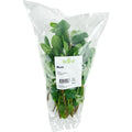  Mint 70 g