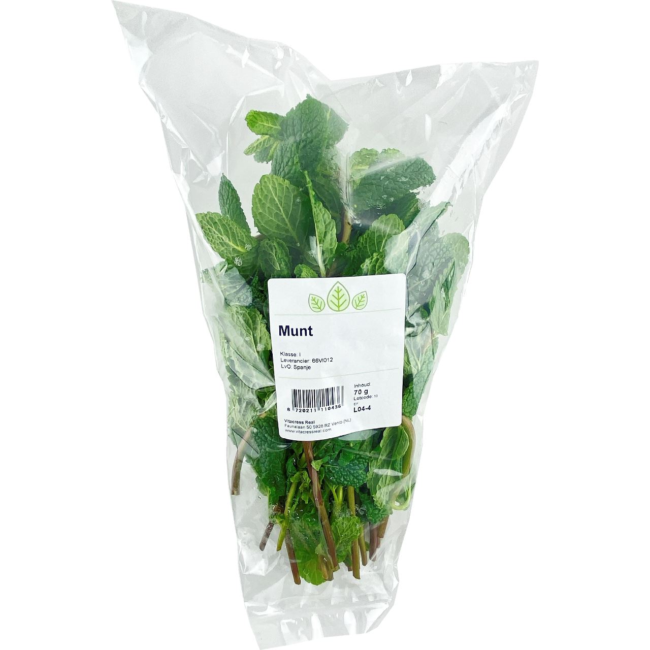  Mint 70 g