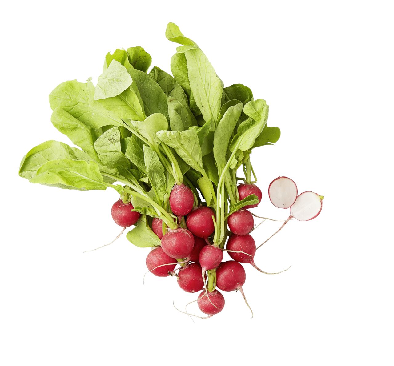 Radish bunch 250 g