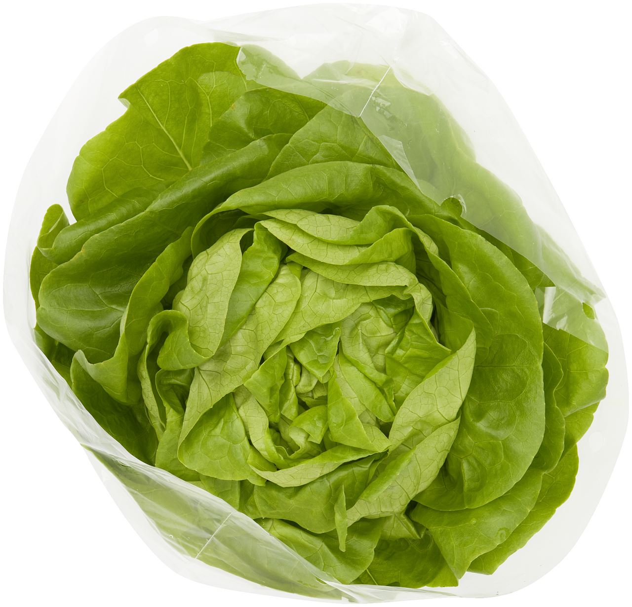 Head lettuce 1 pc 450 g