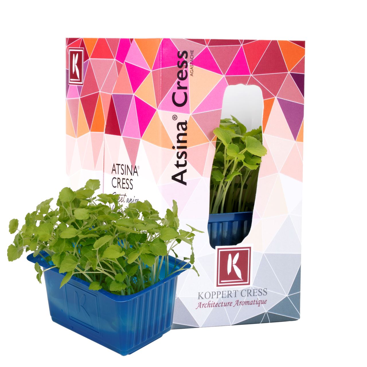 Koppert Cress Atsina