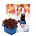 Koppert Cress Shiso Purple
