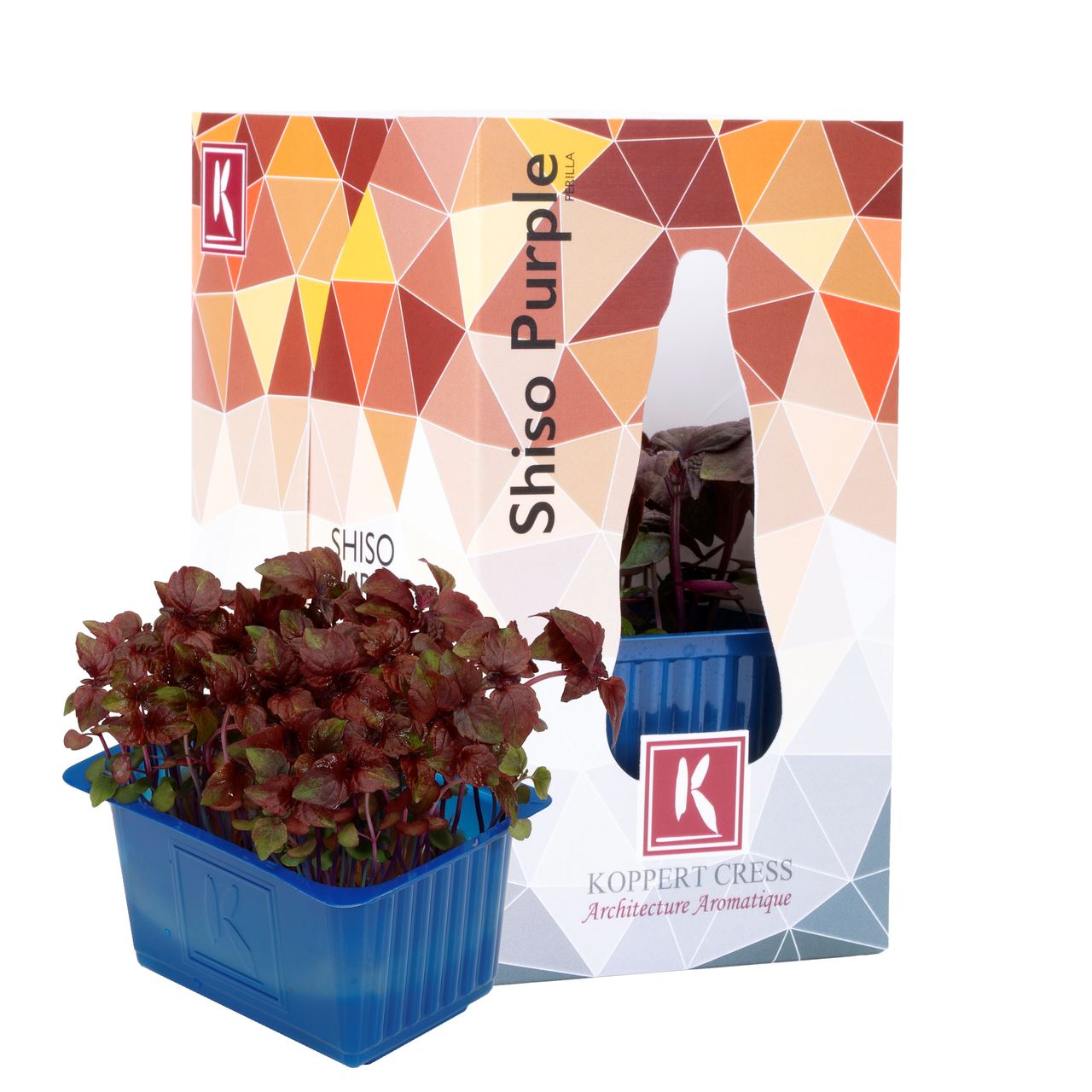 Koppert Cress Shiso Purple
