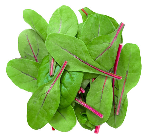  Babyleaf Red Chard 125 g