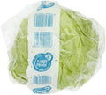  Iceberg Lettuce Head Packed *
