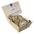 Fine de Claire no. 3 24 pieces 2 kg