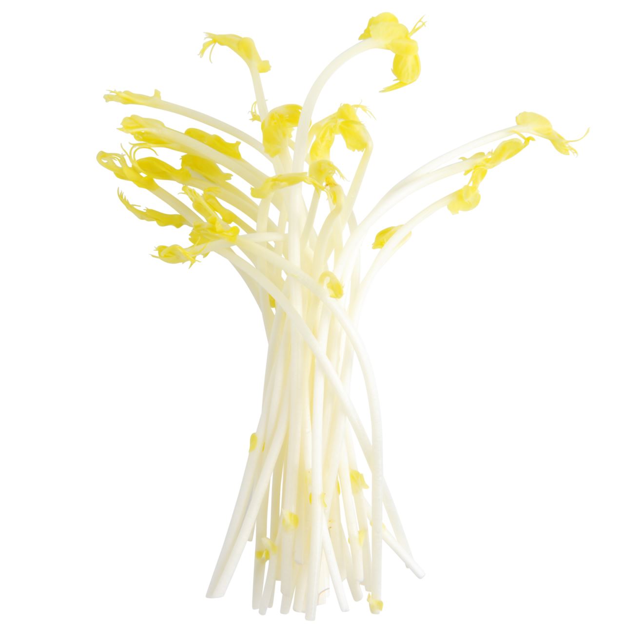 Pea/asparagus shoots 100 g