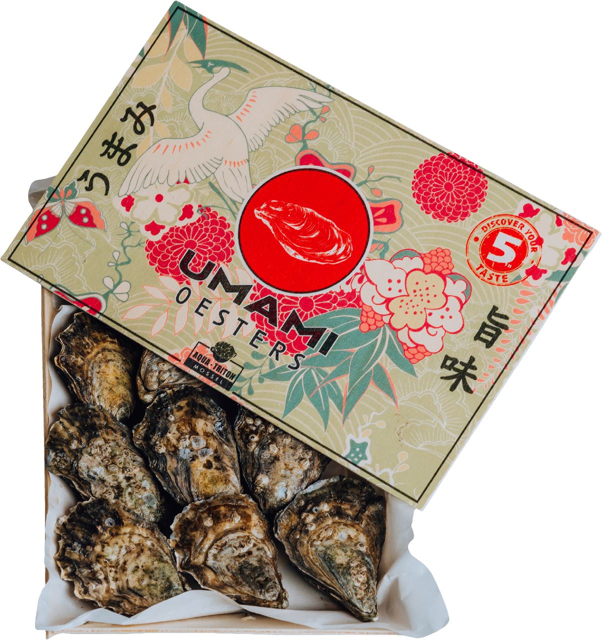 Umami Oyster no. 3 12 pieces 1 kg