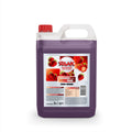 RAAK Zero Strawberry 5 l