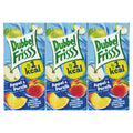 DubbelFrisss 1Kcal Apple Peach 6 x 20 cl