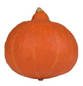 Pumpkin Orange