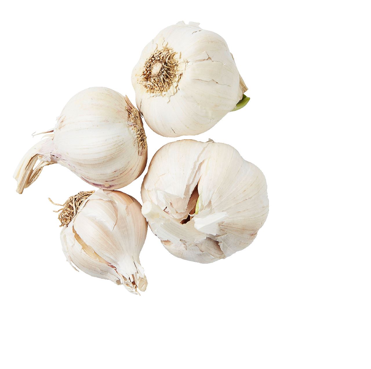 Garlic Fresh 2 pieces