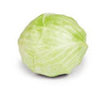  White Cabbage 1 piece
