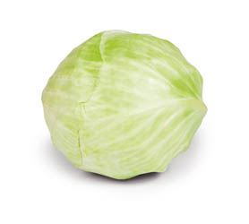  White Cabbage 1 piece